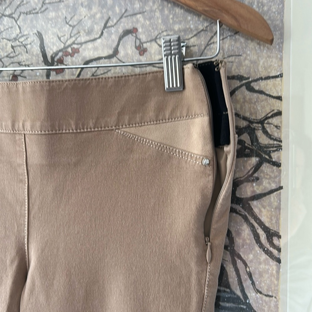 WHBM “Riding Pants” with Faux Suede Inserts - Picture 5 of 8